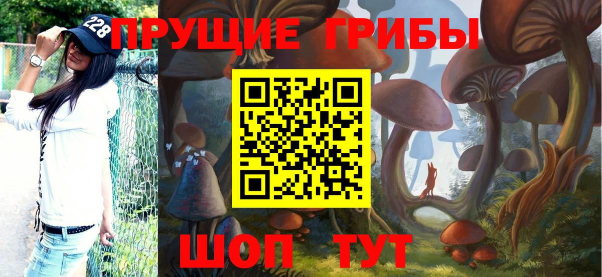 Псилоцибиновые грибы Psilocybe  Вход с VPN  Сухой Лог 