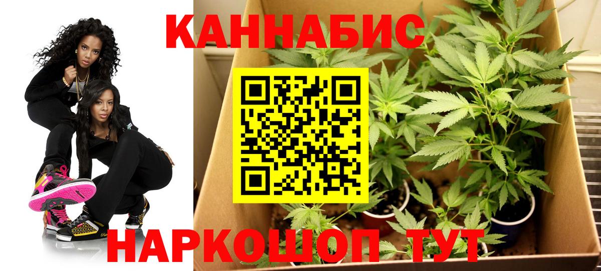 Шишки марихуана SATIVA & INDICA Сухой Лог